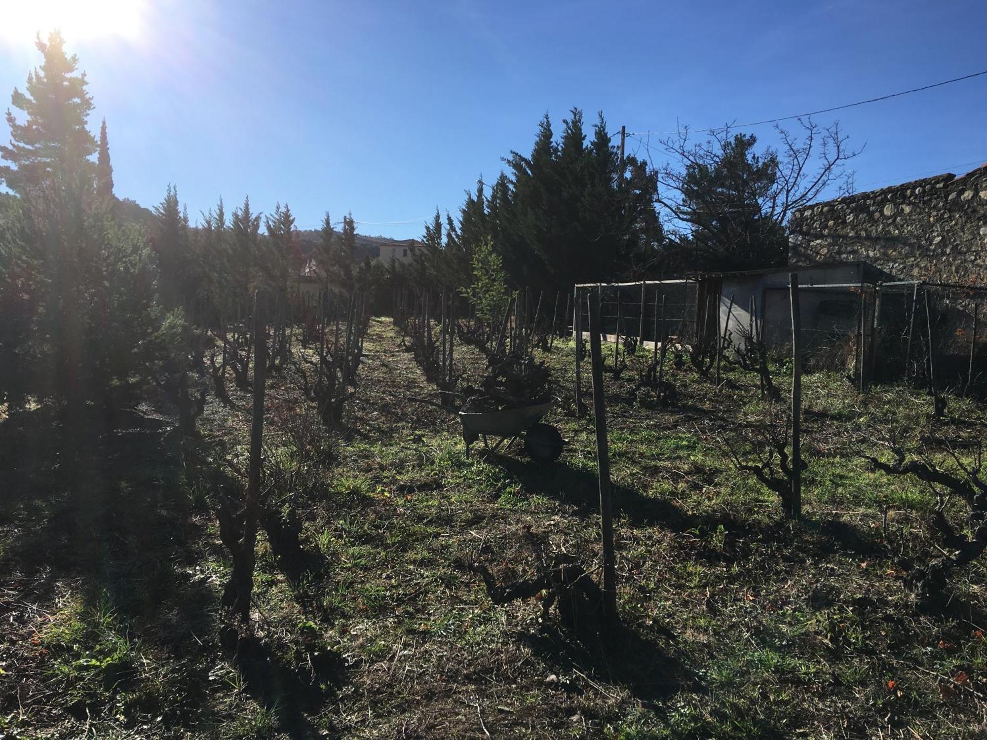 Coeur De Nature Rasigueres Eksteriør billede
